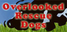 Rescue Dogs